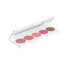OFRA Signature Palette Blushes
