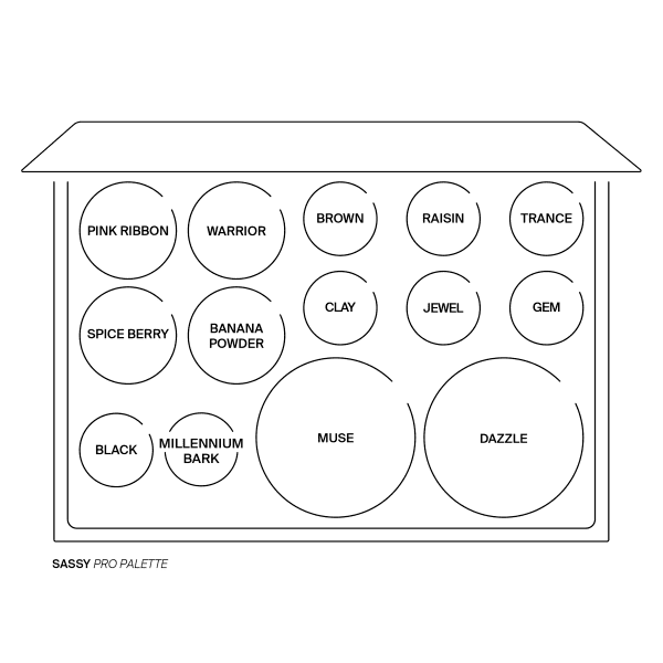 Pro Palette Sassy Pro Palette Sassy